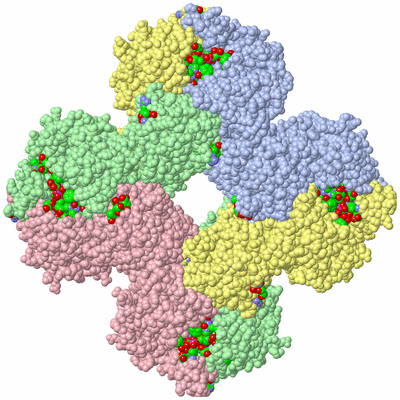 Image Biol. Unit 1 - sites