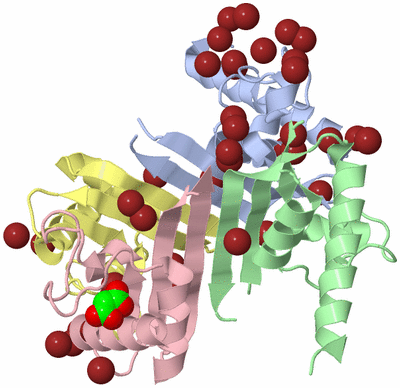 Image Asym./Biol. Unit