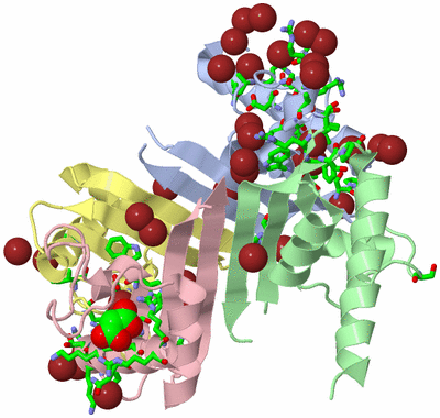 Image Asym./Biol. Unit - sites