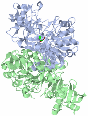 Image Biological Unit 1