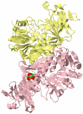 Image Biological Unit 2