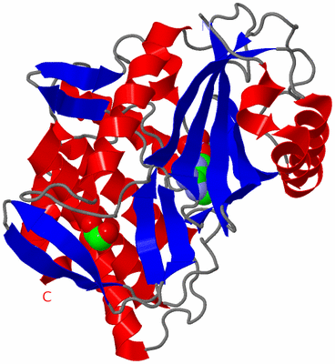 Image Asym./Biol. Unit