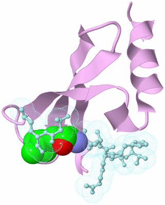 Image Biological Unit 3