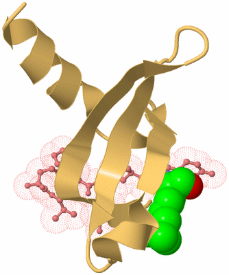 Image Biological Unit 4