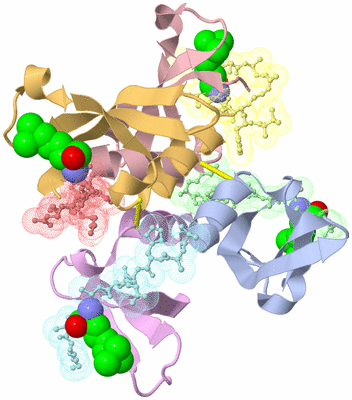 Image Biological Unit 5