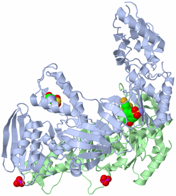 Image Asym./Biol. Unit