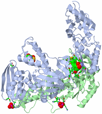 Image Asym./Biol. Unit - sites