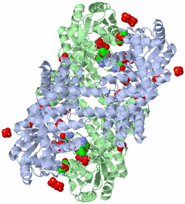 Image Biological Unit 1