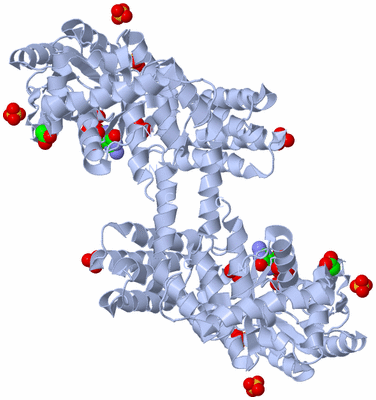 Image Biological Unit 2