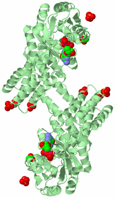 Image Biological Unit 3