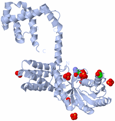 Image Biological Unit 4