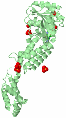 Image Biological Unit 5