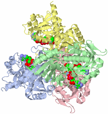 Image Biological Unit 1