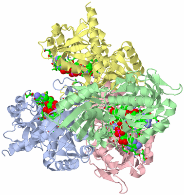 Image Biol. Unit 1 - sites