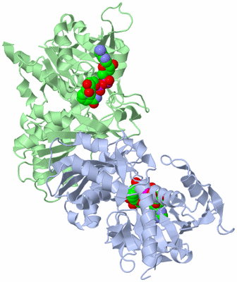 Image Biological Unit 2