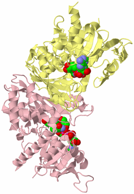 Image Biological Unit 3