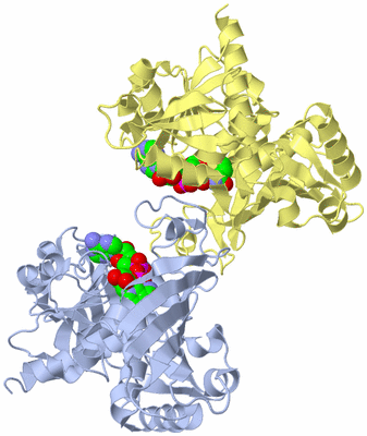 Image Biological Unit 4