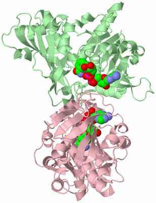 Image Biological Unit 5