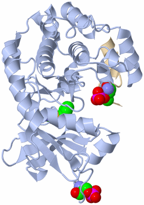 Image Asym./Biol. Unit