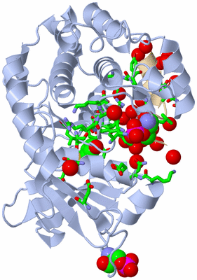 Image Asym./Biol. Unit - sites