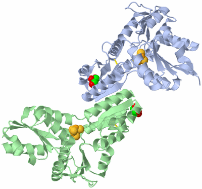 Image Asym./Biol. Unit