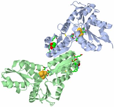 Image Asym./Biol. Unit - sites