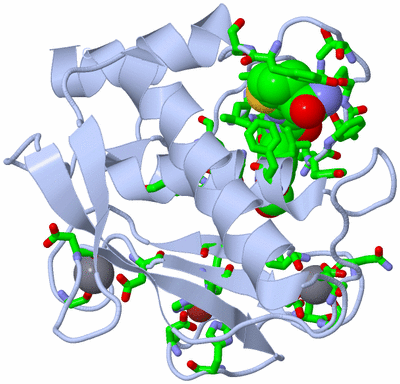 Image Biol. Unit 1 - sites