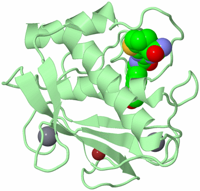 Image Biological Unit 2