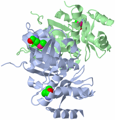 Image Asym./Biol. Unit