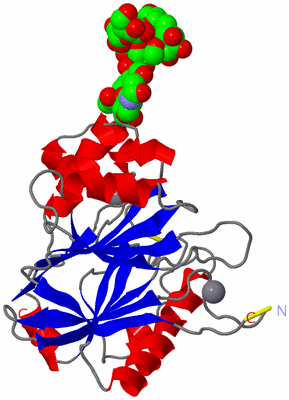 Image Asymmetric Unit