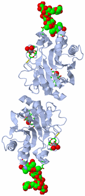 Image Biol. Unit 1 - sites