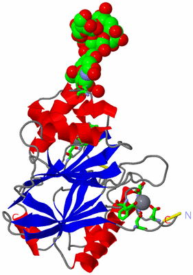 Image Asym. Unit - sites