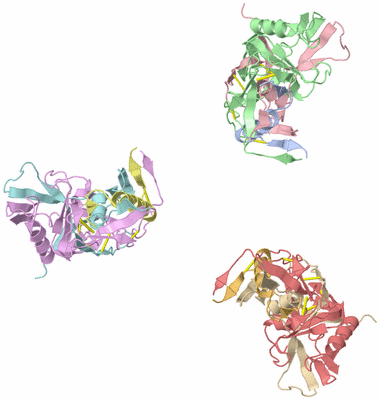 Image Asym./Biol. Unit