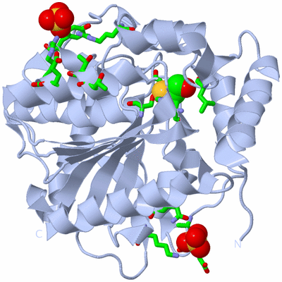 Image Biol. Unit 1 - sites