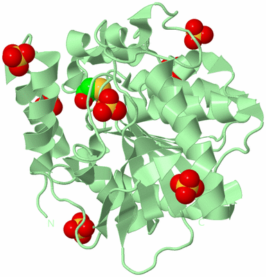 Image Biological Unit 2