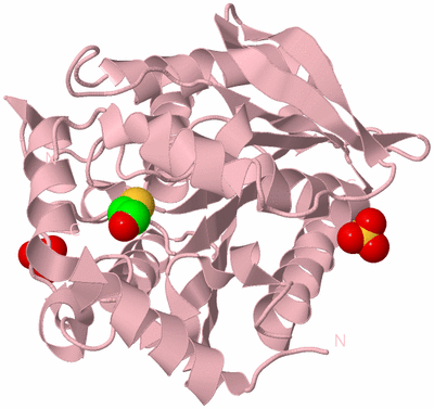 Image Biological Unit 3