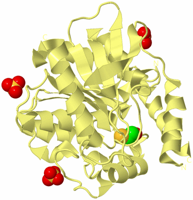 Image Biological Unit 4