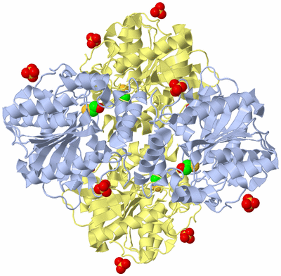 Image Biological Unit 5