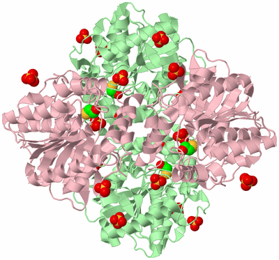 Image Biological Unit 6