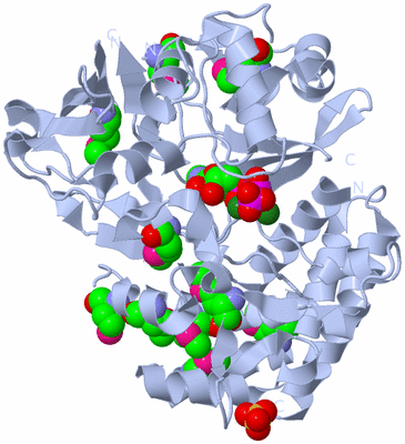 Image Biological Unit 1