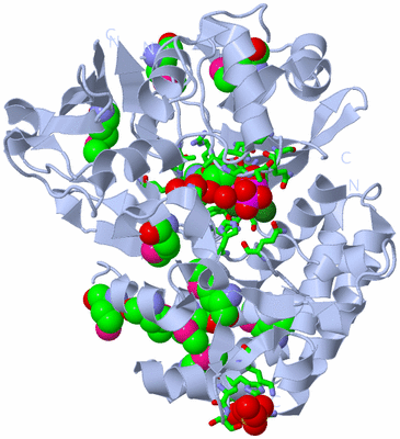 Image Biol. Unit 1 - sites