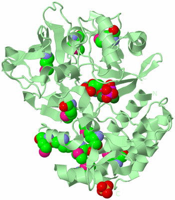 Image Biological Unit 2