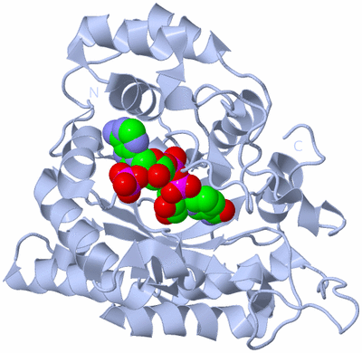 Image Biological Unit 1