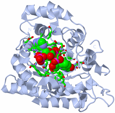 Image Biol. Unit 1 - sites