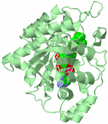 Image Biological Unit 2