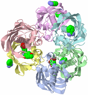 Image Asym./Biol. Unit