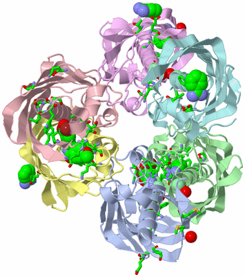 Image Asym./Biol. Unit - sites