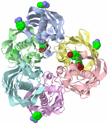 Image Asym./Biol. Unit