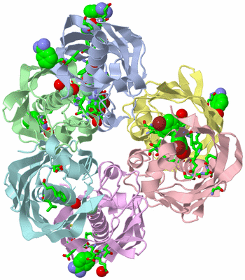 Image Asym./Biol. Unit - sites