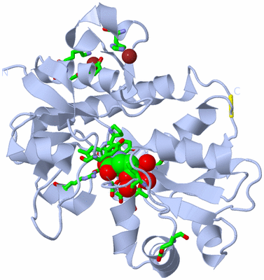 Image Biol. Unit 1 - sites